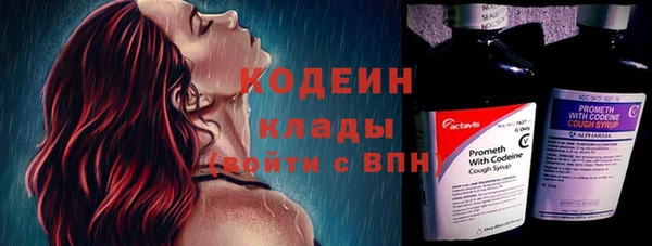 ECSTASY Богданович