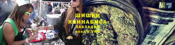 ECSTASY Богданович