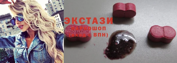 ECSTASY Богданович